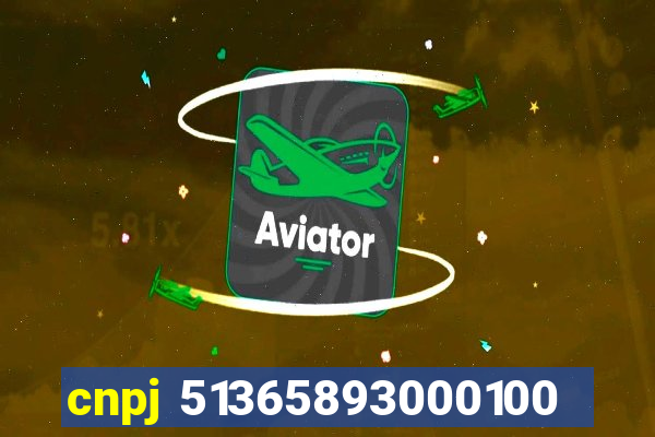 cnpj 51365893000100
